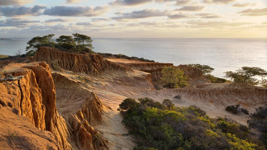 Torrey Pines State Natural Reserve