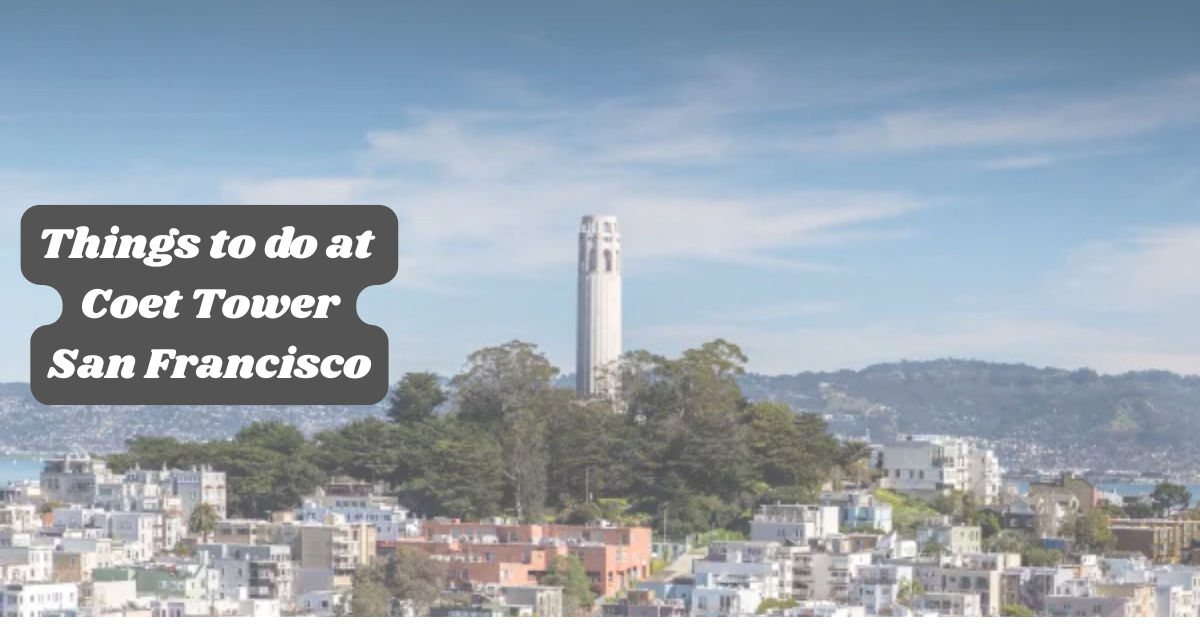 things to do at coit tower san francisco